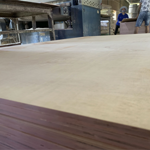 Packing Plywood